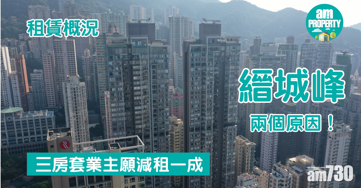 租賃概況｜兩個原因！縉城峰三房套業主願減租一成