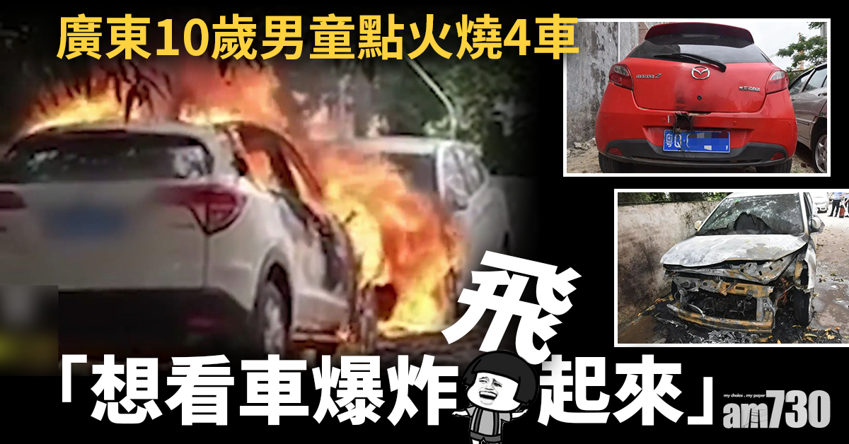 「想看車爆炸飛起來」 10歲男童點火燒4車