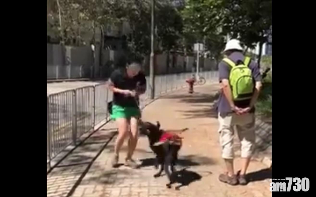 網傳兩年前導盲犬受訓被猛扯影片 香港導盲犬服務中心：已檢討及改善