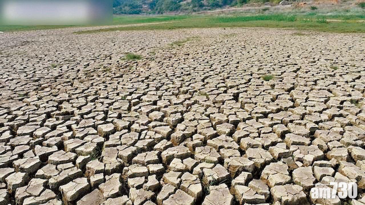 本月降雨偏少五成 粵東閩南持續重旱