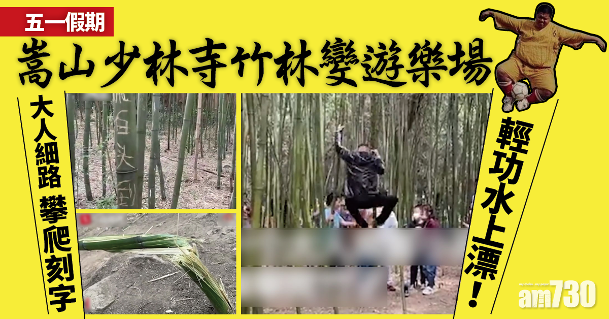 五一假期｜嵩山少林寺竹林變遊樂場 大人細路攀爬刻字