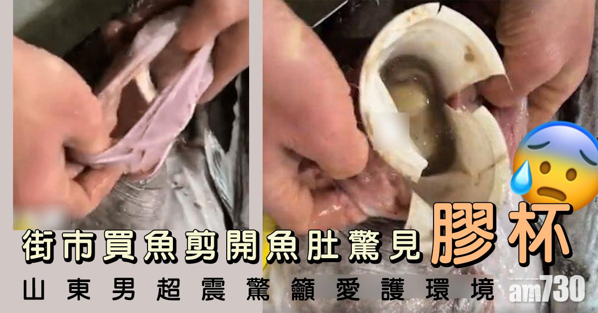 海洋垃圾｜街市買魚剪開魚肚驚見膠杯 山東男超震驚籲愛護環境