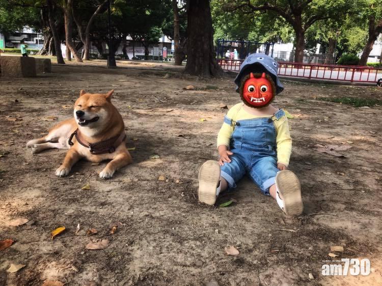 網上熱話｜孩子摸狗應先詢問主人 網友：觀念正確