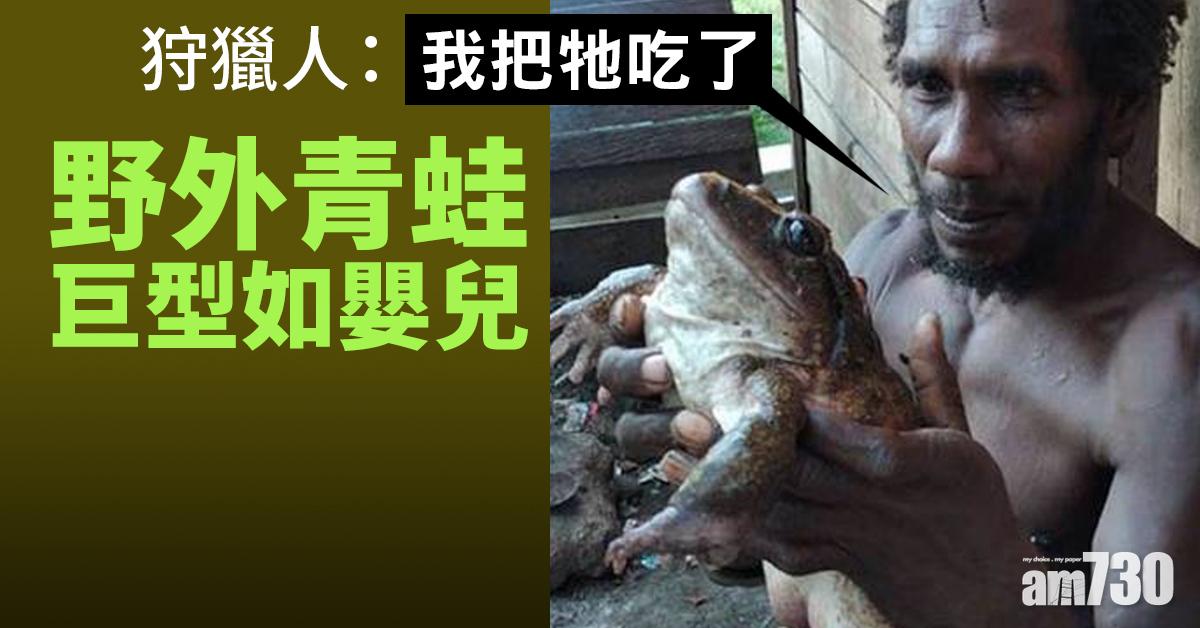 野外青蛙巨型如嬰兒 狩獵人：我把牠吃了