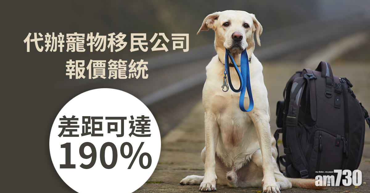 消委會｜代辦寵物移民公司報價籠統  差距可達190%