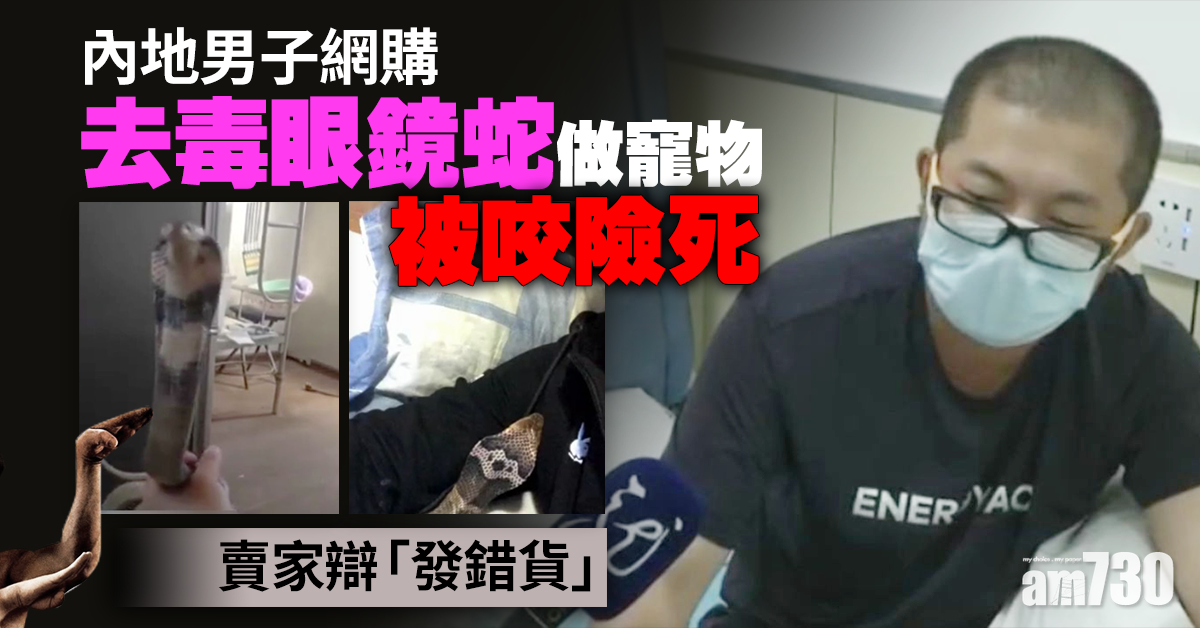 男子網購「去毒」眼鏡蛇被咬險死 賣家辯「發錯貨」