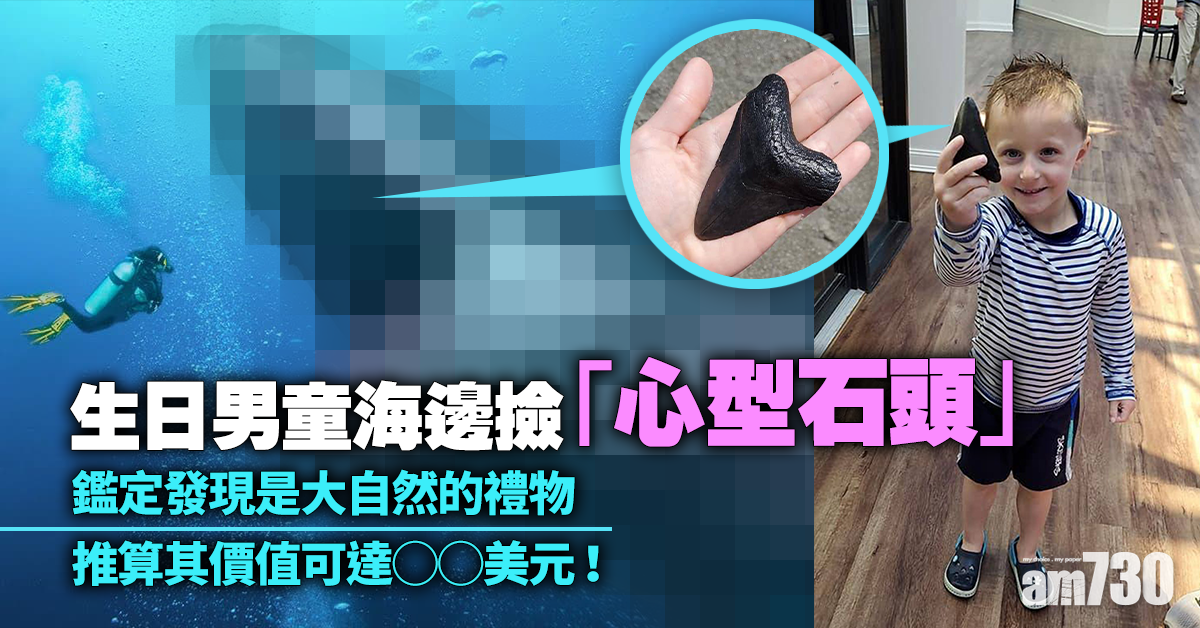 生日男童海邊撿「心型石頭」  鑑定發現是大自然的禮物