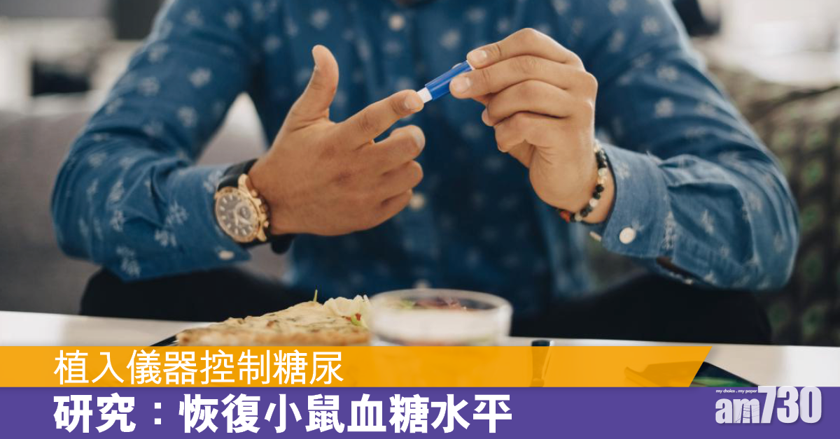 研究：成功利用小型儀器幫小鼠控制糖尿