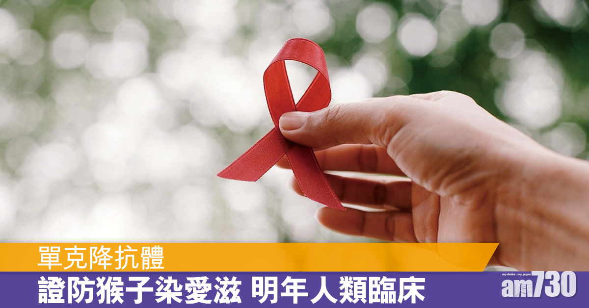 單克隆抗體 成功預防猴子感染愛滋病毒