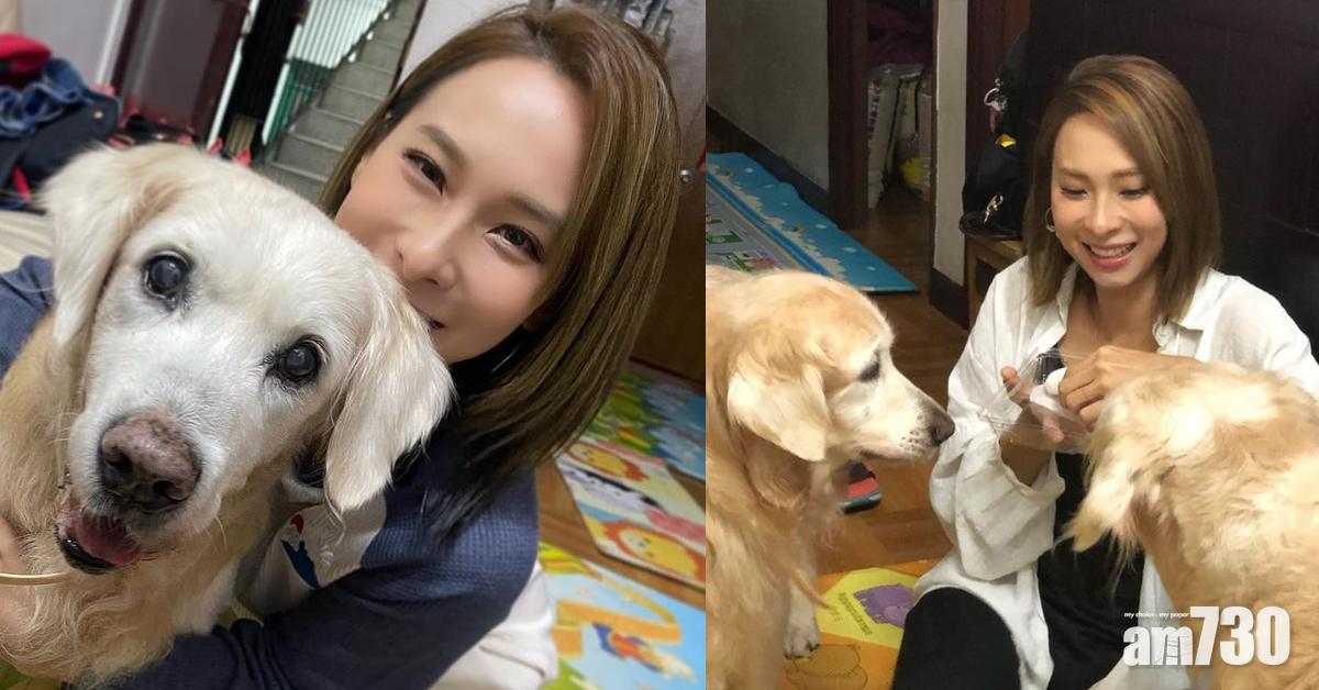 最後一隻愛犬離世  李旻芳︰謝謝您這些年來 對我不離不棄