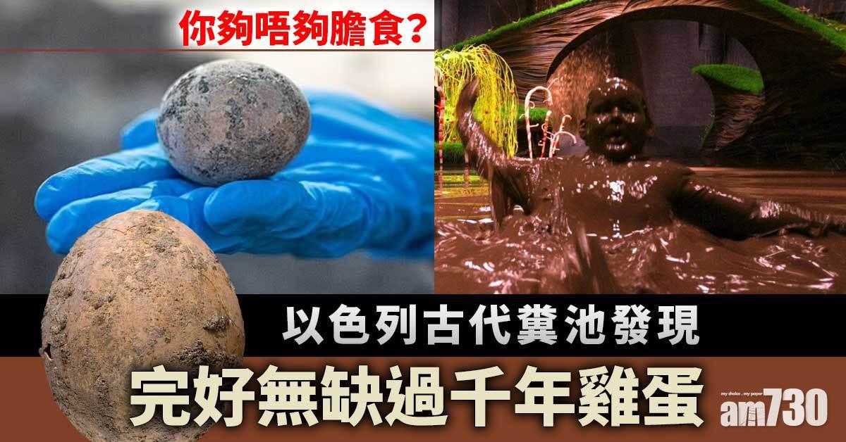 被屎醃住｜以色列古代糞池發現1000年雞蛋 完好無缺