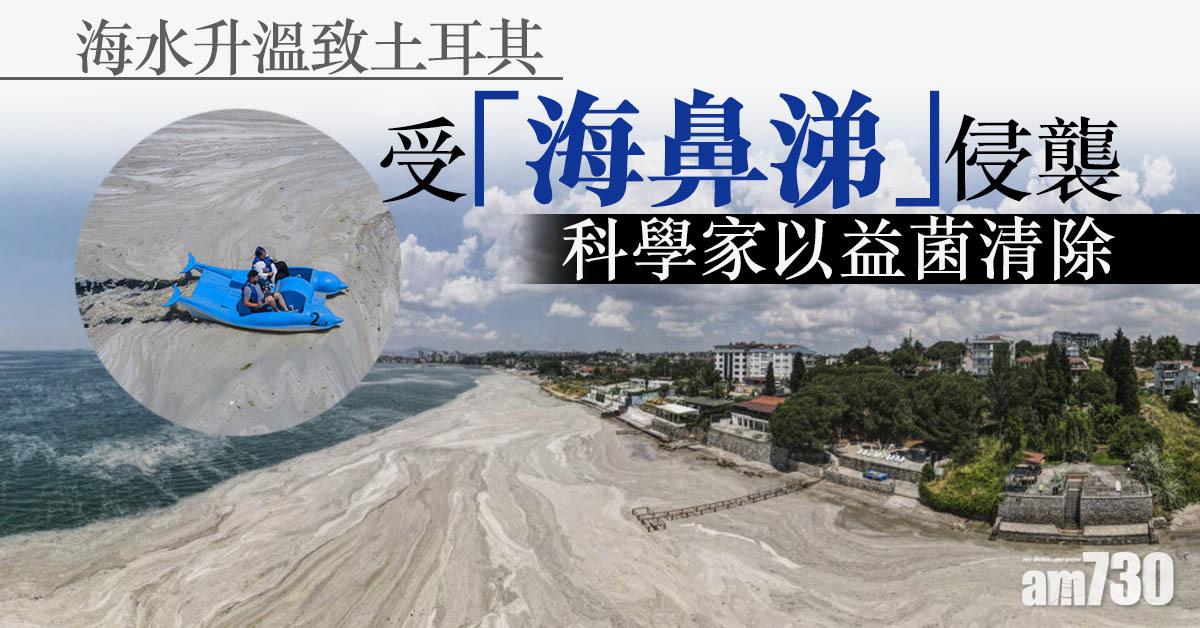 救救地球｜海水升溫致土耳其受「海鼻涕」侵襲  科學家以益菌清除 