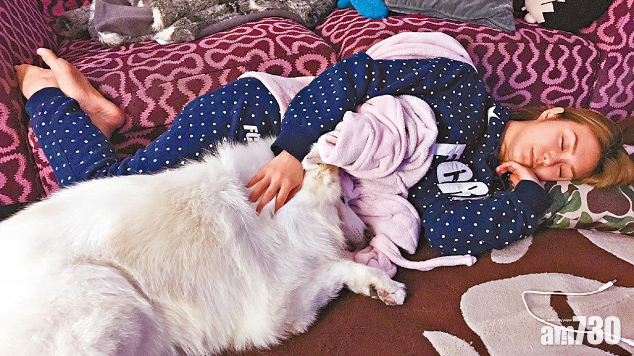 林祉妤最愛與西摩犬看電視