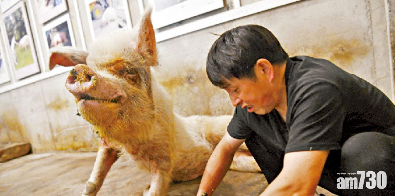 汶川地震被埋36天獲救 14歲「豬堅強」壽終正寢