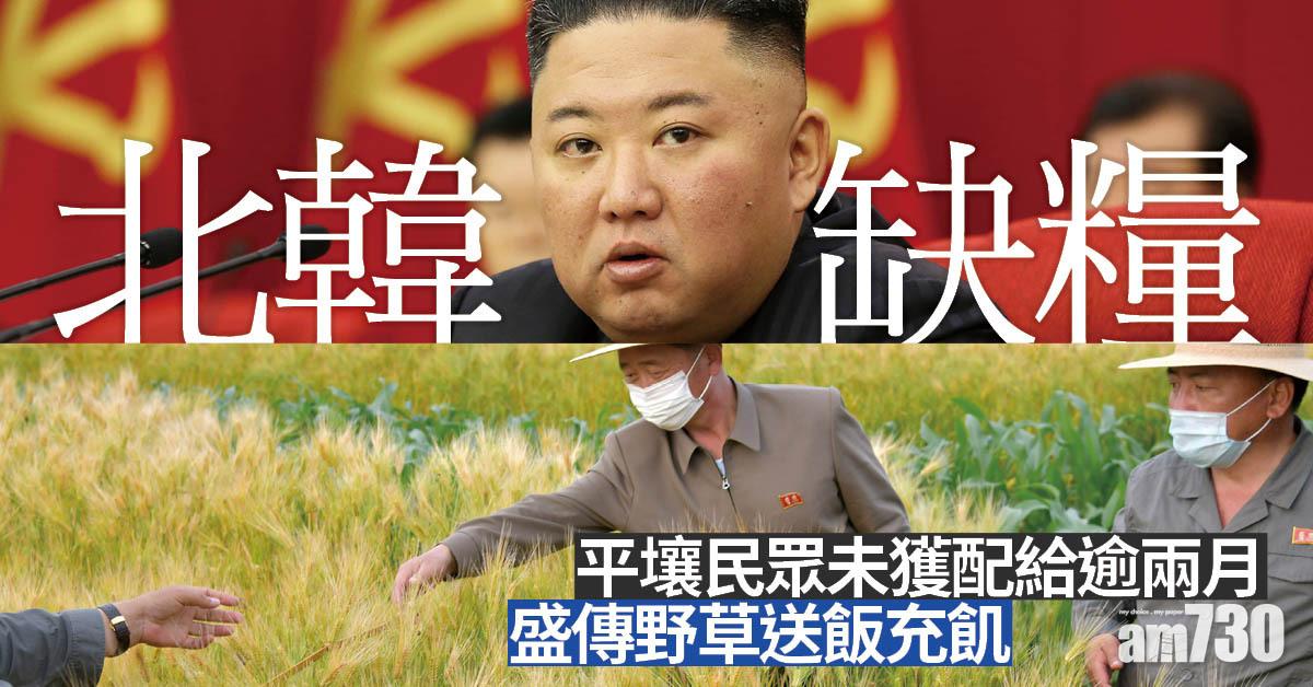 北韓缺糧｜未獲配給逾兩月 傳平壤民眾吃草「送飯」充飢