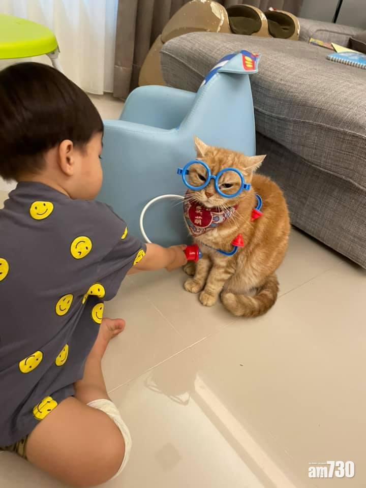 毛孩天地｜貓主子充當小主人「病人」一臉無奈