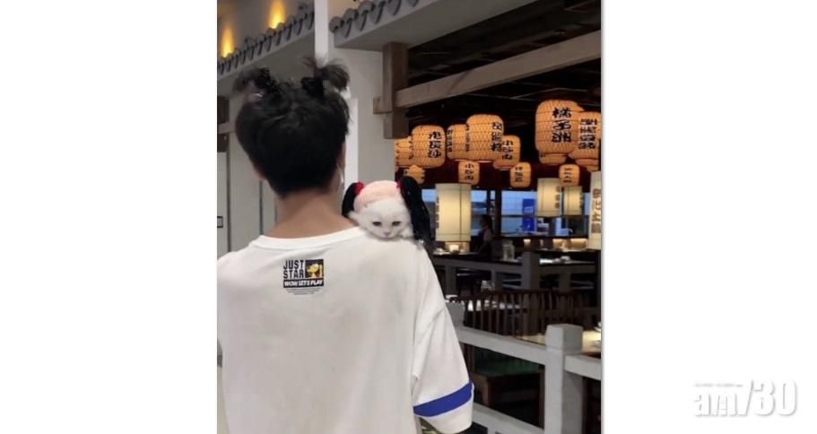 網上熱話｜店家向紥孖辮客送肥牛　網民︰主人得食白貓當災