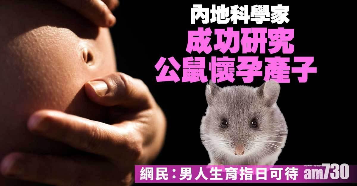 內地科學家成功研究公鼠懷孕產子 網民：男人生育指日可待