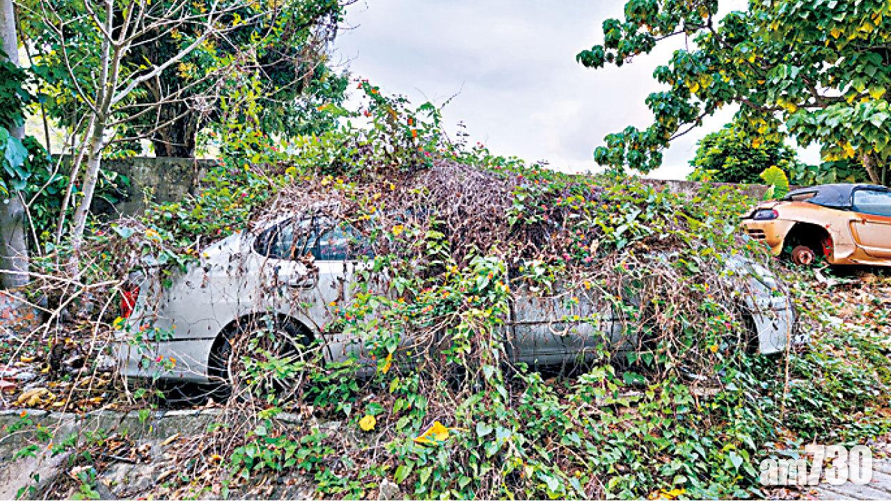 申訴專員 批近14年無成功檢控 查官地廢車
