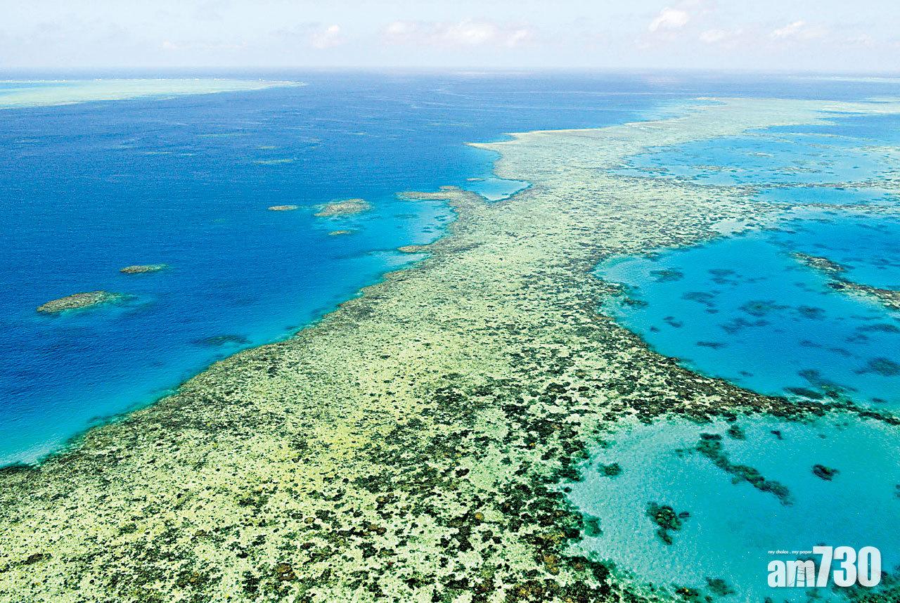 世界遺產 聯合國擬列大堡礁「瀕危」 澳洲不滿稱涉政治