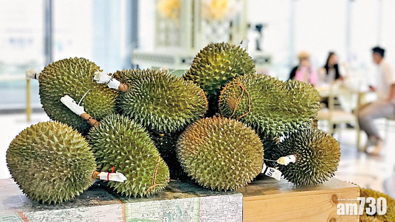 「榴槤千金」Durication 馬來西亞AAA級八大品種任食