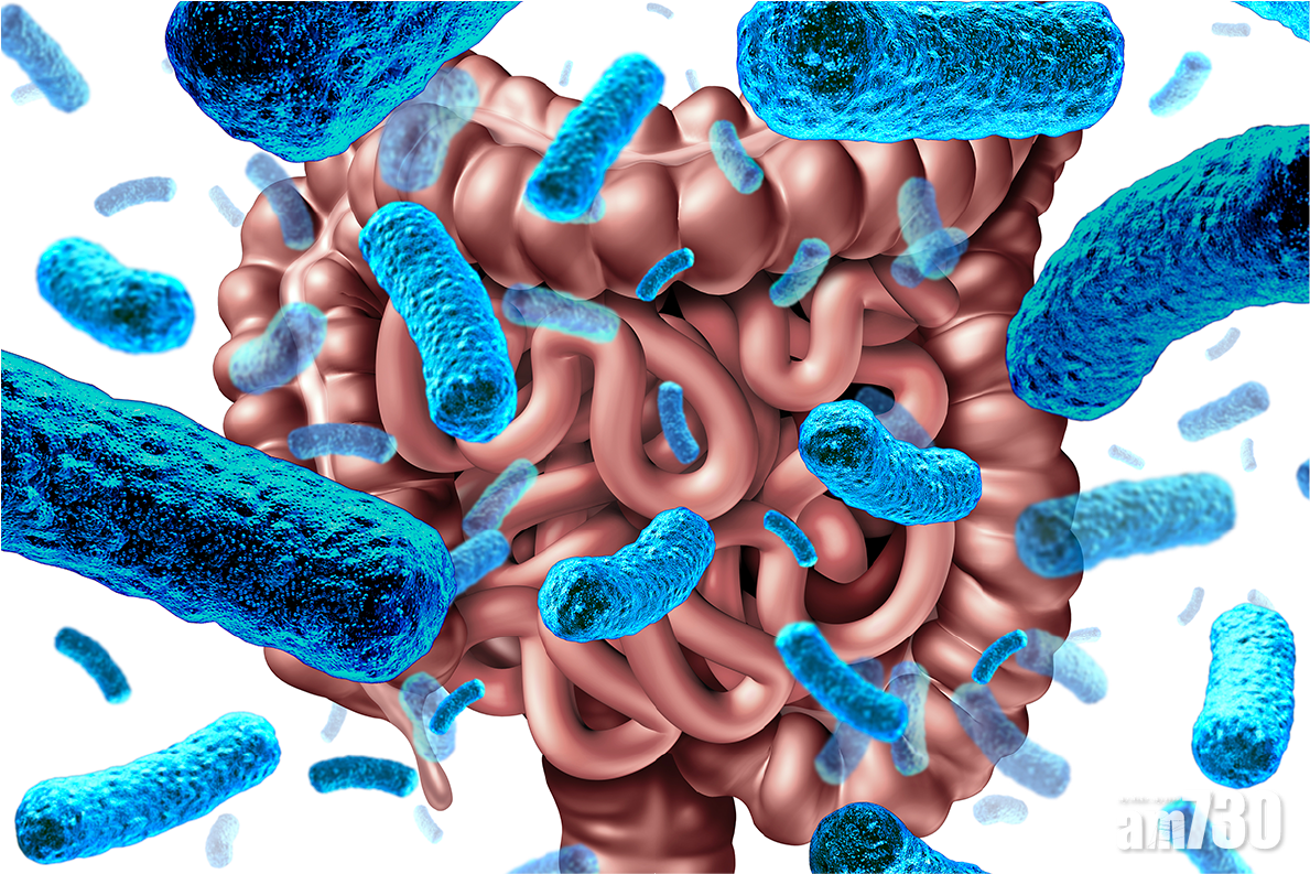 免疫力？ Let’s talk about SHIT!  免疫力和排便有關？