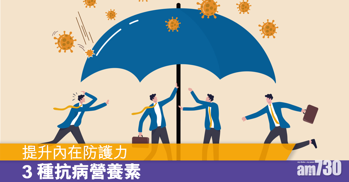 抗病3寶 提升內在防護力