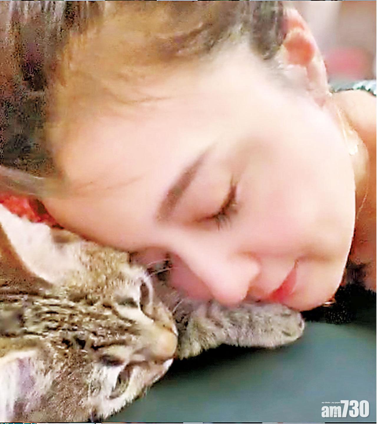 藤原紀香50歲生日 分享擼貓照