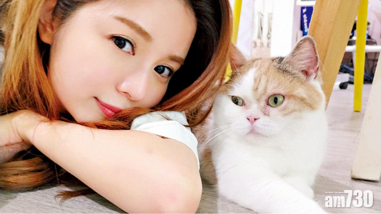 陳潔玲的繁殖貓舍退役貓