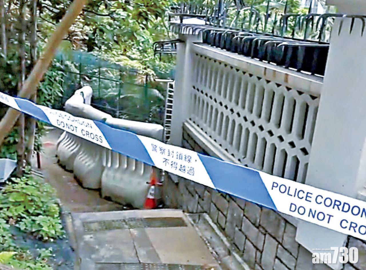 禮賓府山坡被擲易燃物有小火 O記接手緝兇