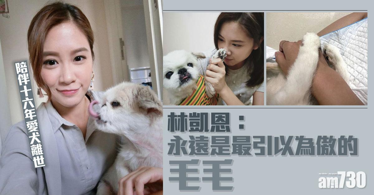 陪伴16年愛犬離世 林凱恩：永遠是最引以為傲的毛毛