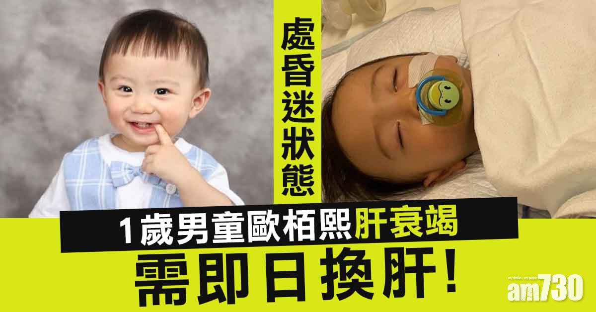 急需換肝｜1歲男童區柏熙肝衰竭急需即日換肝