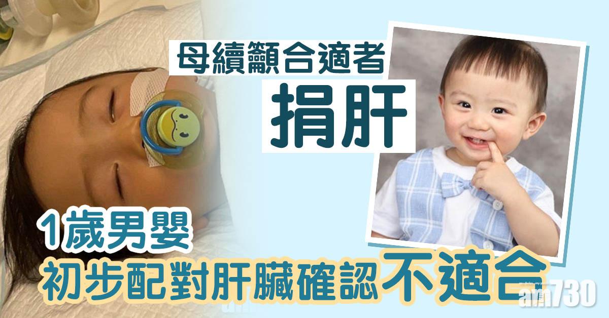 急需換肝｜1歲男嬰初步配對肝臟確認不適合　母續籲合適者捐肝