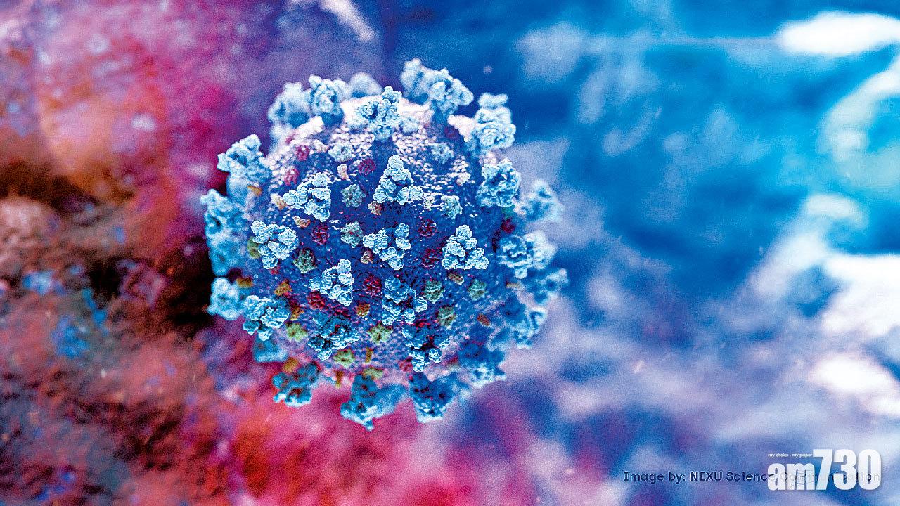 比國9旬婦染Alpha加Beta變種驟逝