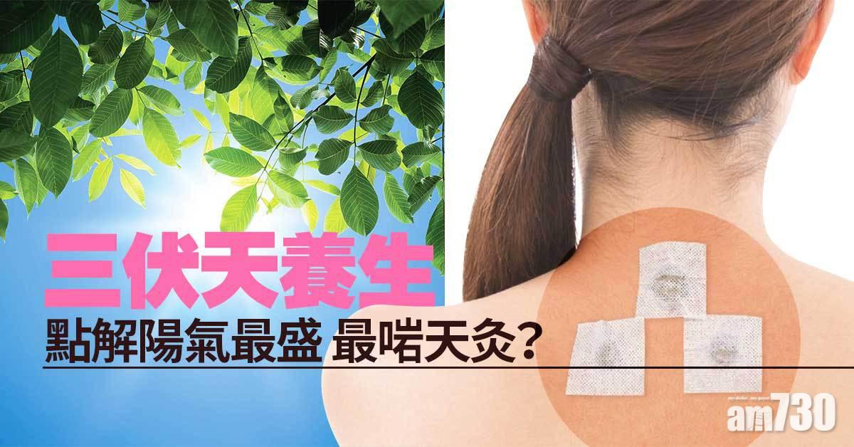 三伏天丨陽氣最盛之日 點解係天灸療法之時？
