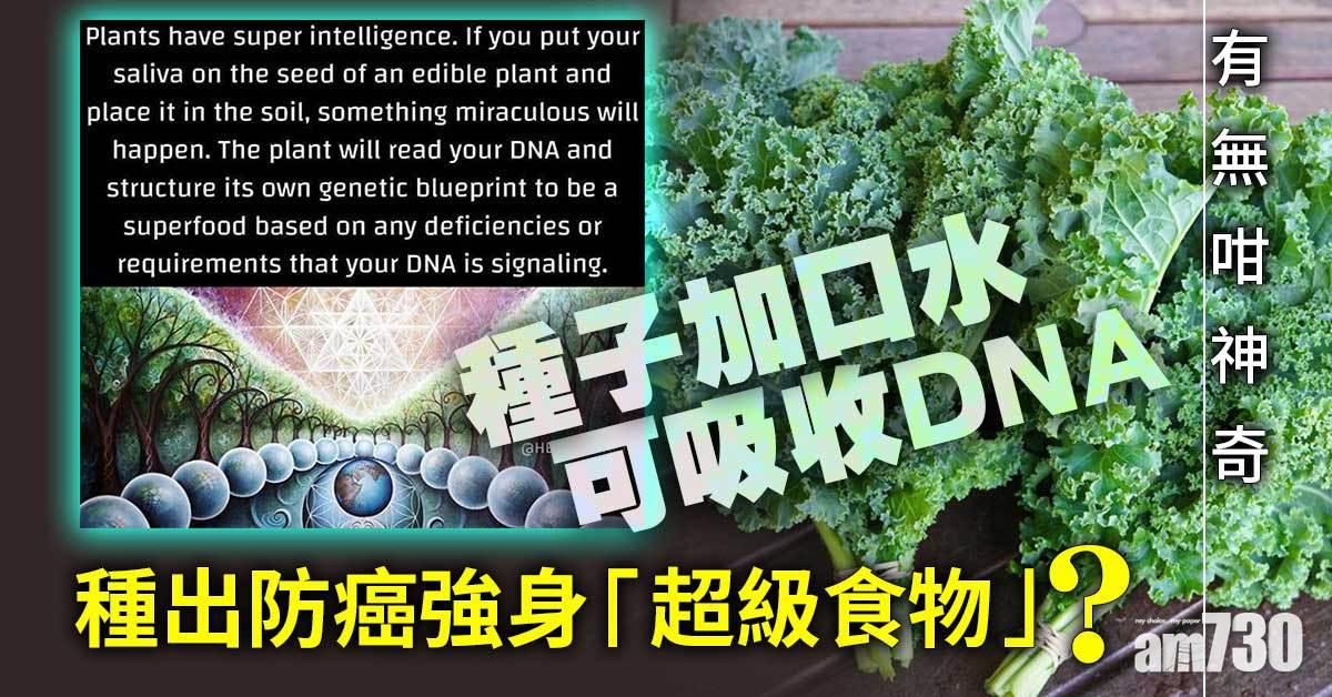 熱話Fact Check｜種子加口水可吸收DNA  種出防癌強身「超級食物」？