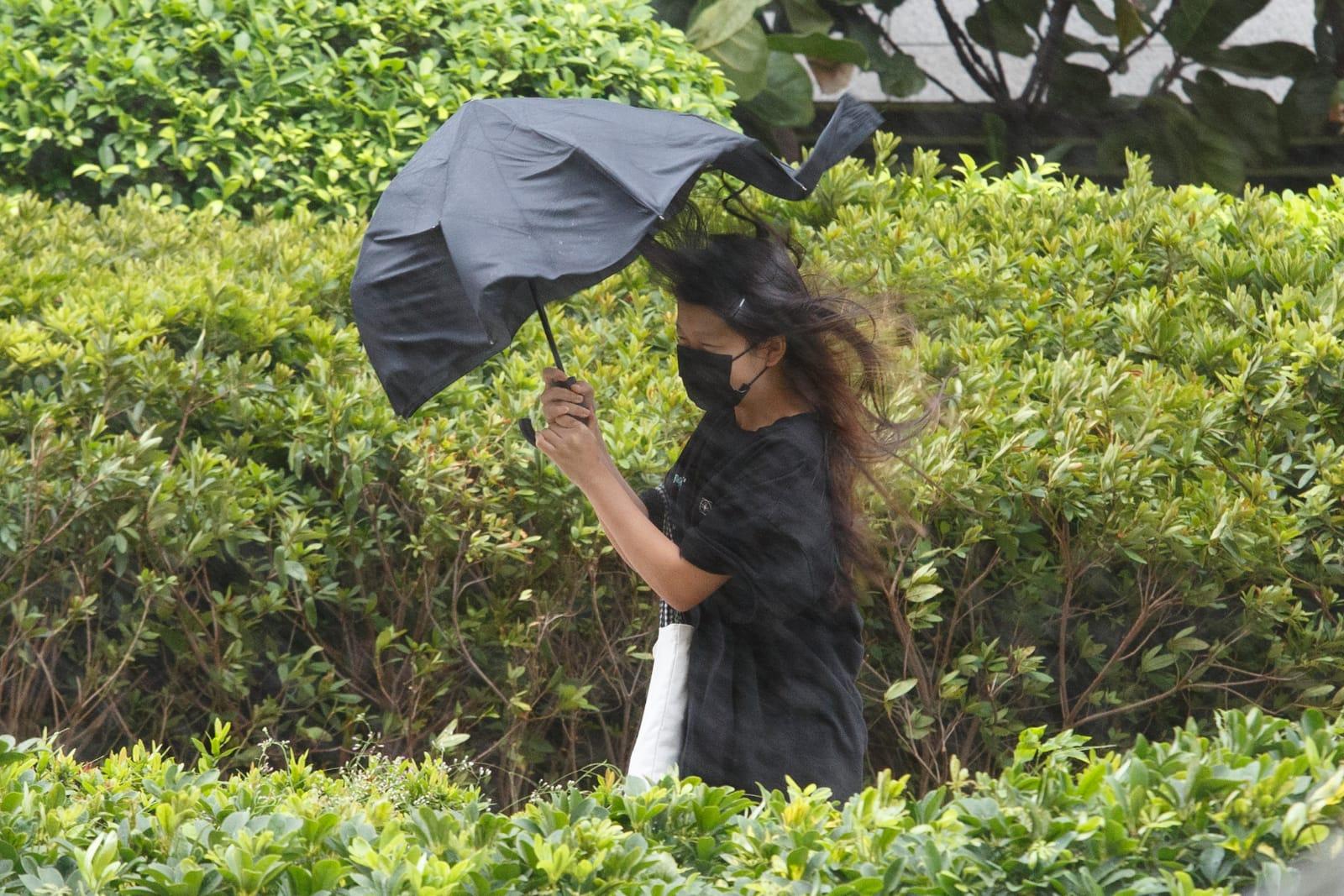 天氣｜天文台發出三號風球　幼稚園及特殊學校停課