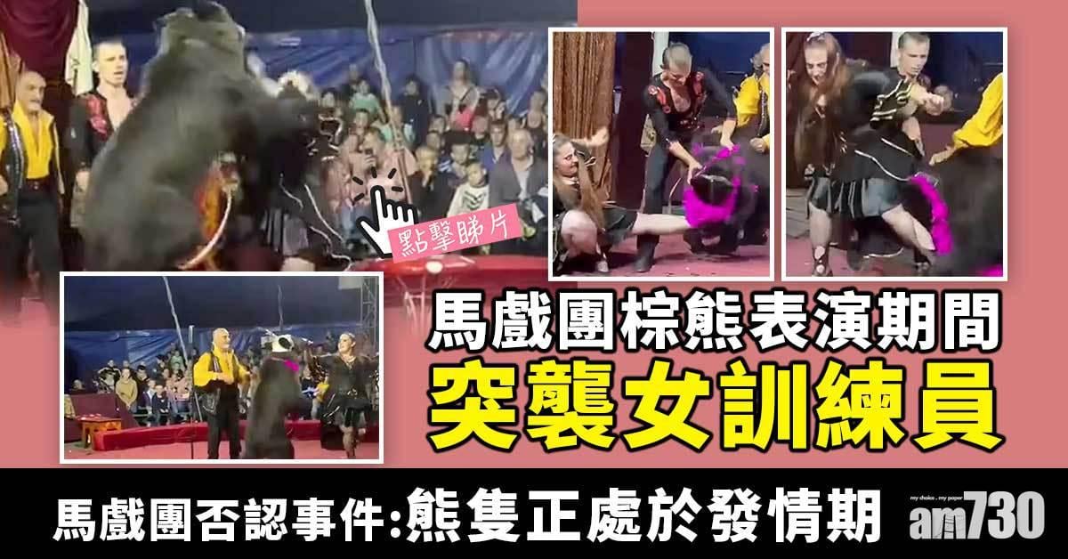 驚嚇｜馬戲團「熊人」逆襲揮拳扯腳  女訓練員狼狽倒地(有片)