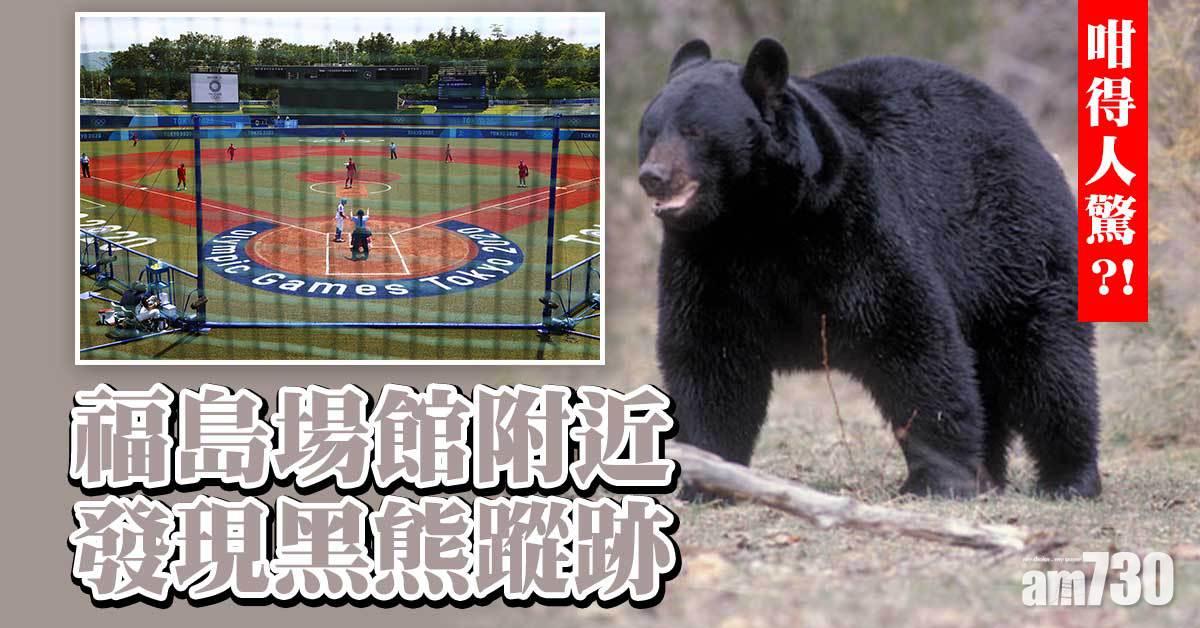 東京奧運｜福島場館附近現熊蹤　壘球首戰日本女子隊報捷