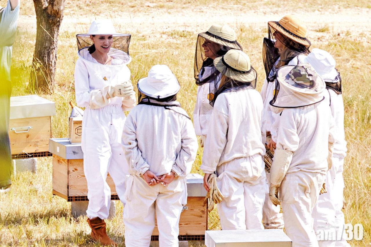 安祖蓮娜學養蜂