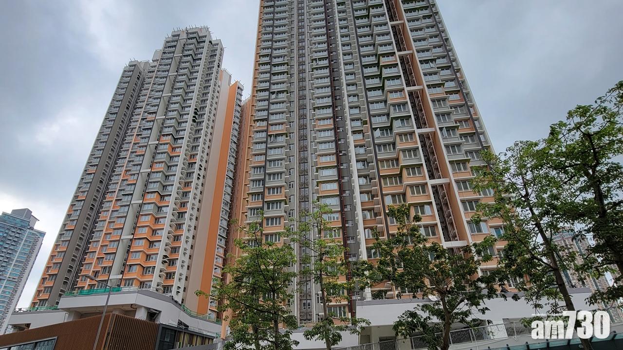 綠置居｜消息：下周二攪珠網上直播