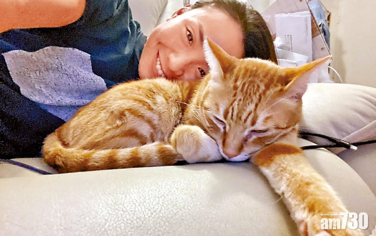 黃頌明貓貓識開燈