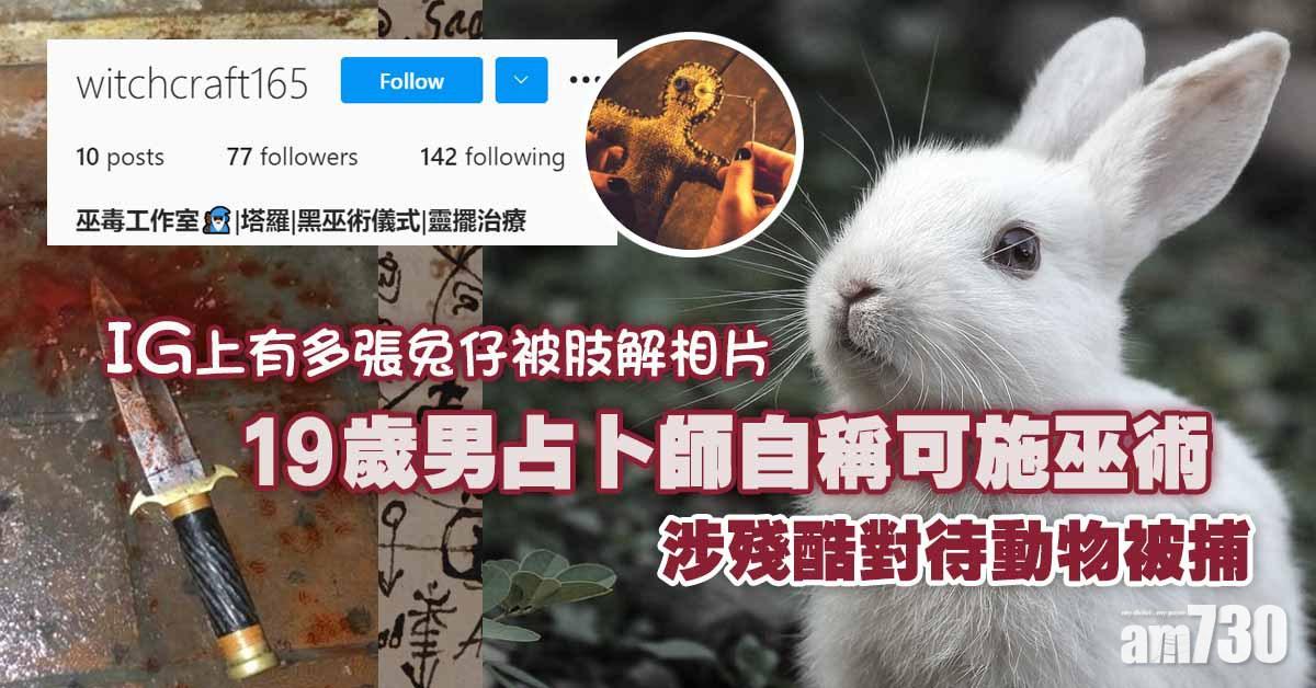 IG肢解動物施巫術　19歲男占卜師被捕