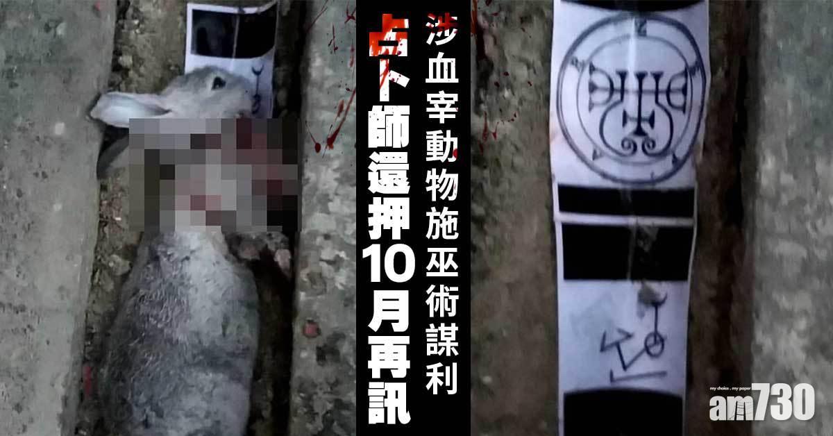 涉血宰動物施巫術謀利　占卜師還押10月再訊