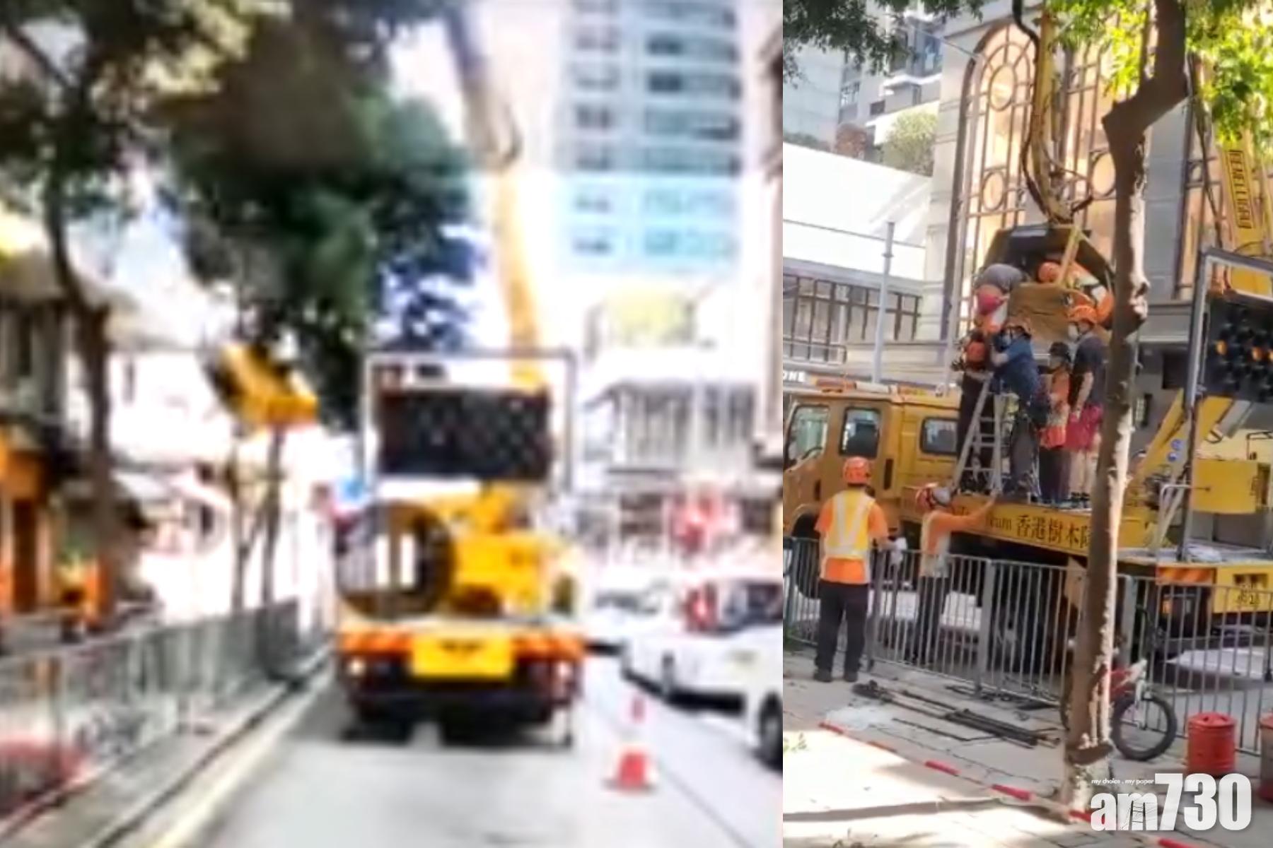 康文署確認殉職修樹女工將獲安葬浩園