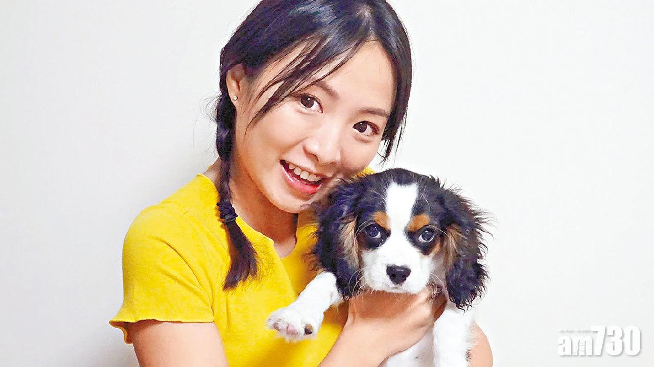 譚淇淇的愛反肚獵犬