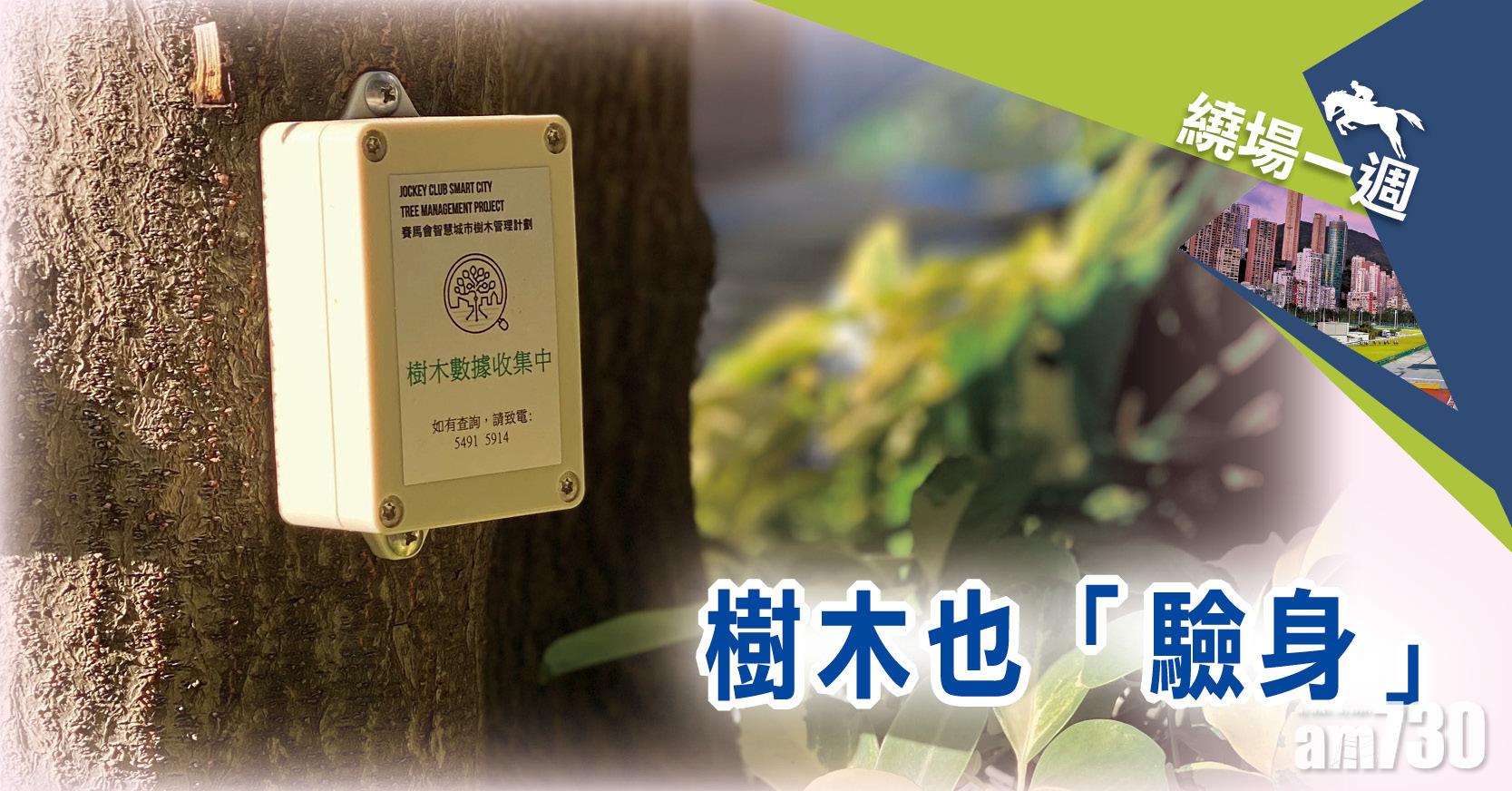 【繞場一週】 樹木也「驗身」
