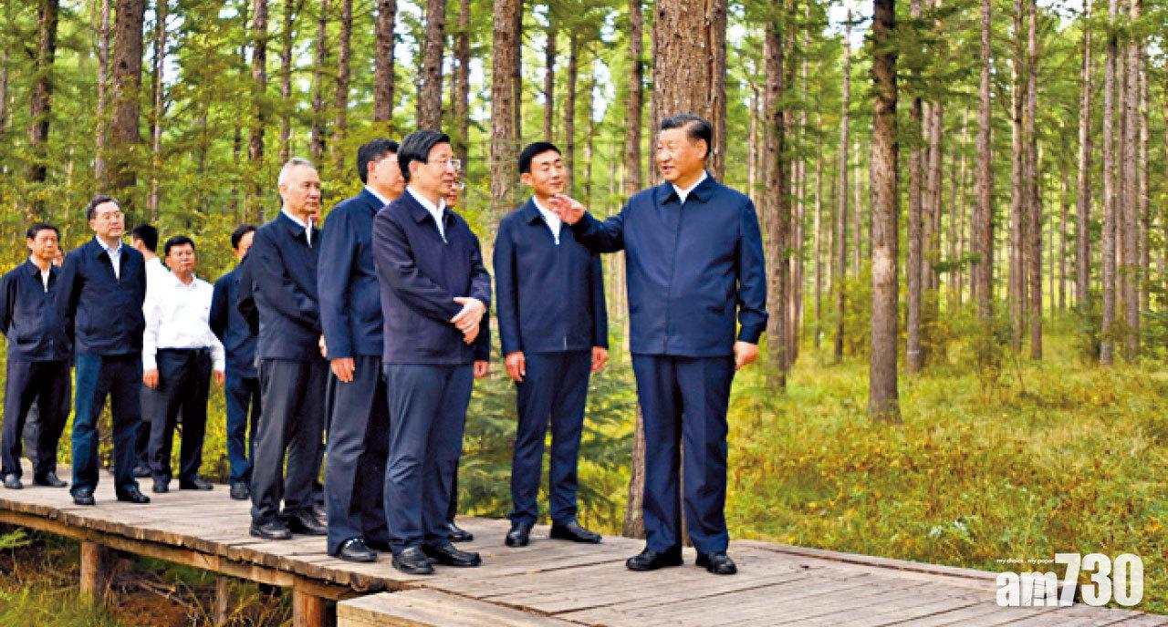 圖片新聞: 綠化