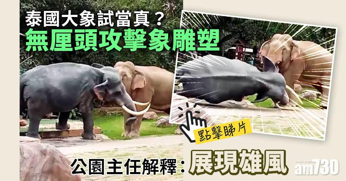 有片｜泰國大象「呷醋」  竟然咁對一座死氣沉沉的象雕塑？
