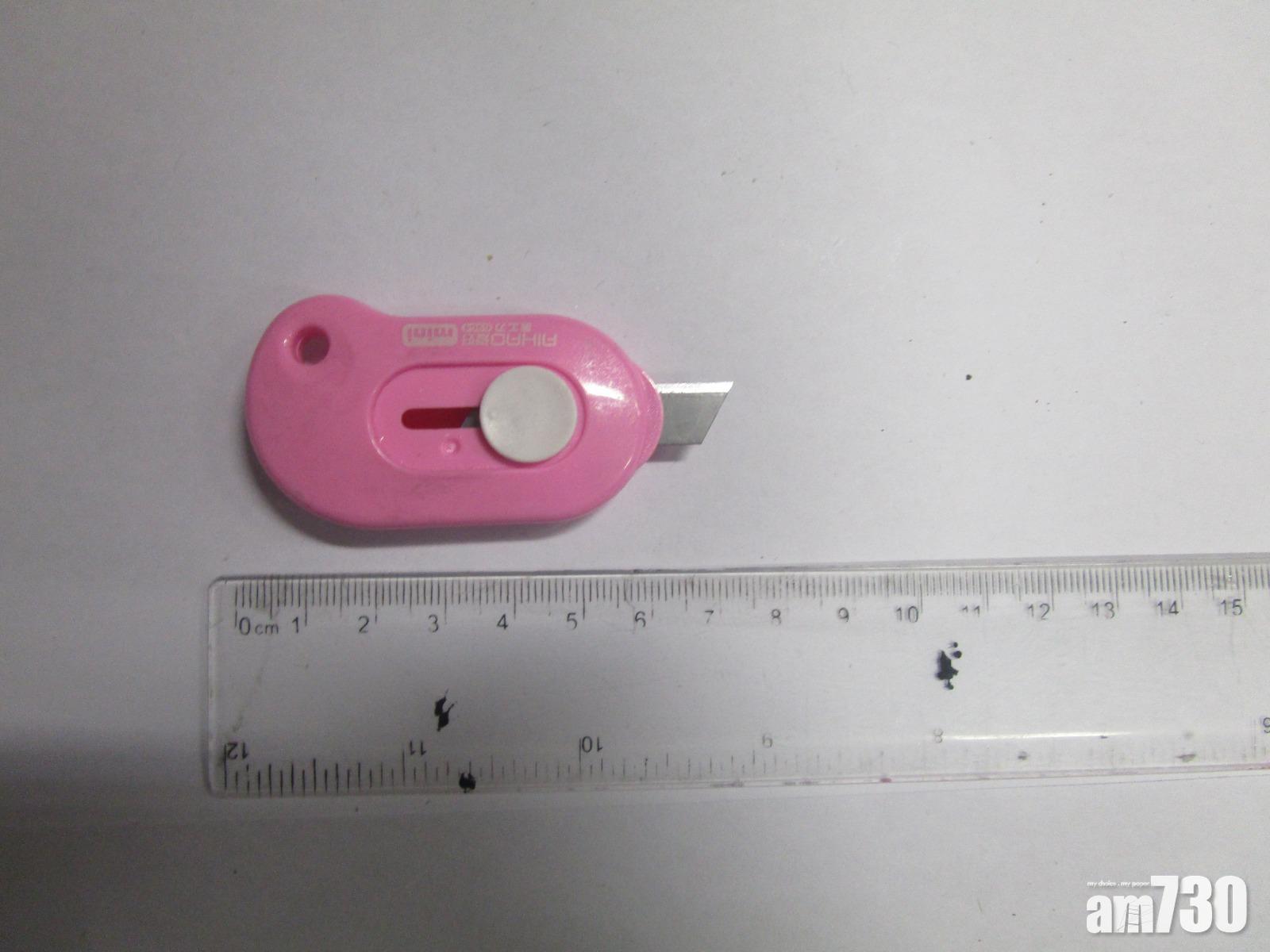 盜竊集團活躍葵青區  兩成員落網  明日提堂